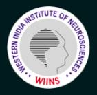 Western India Institute of Neurosciences Kolhapur
